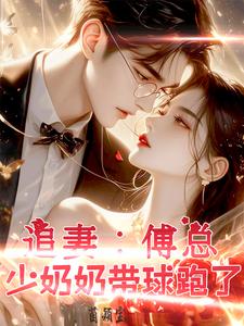 追妻：傅總，少奶奶帶球跑了